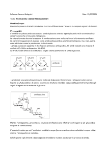 04.RICONOSCIMENTO AMIDO-pdf