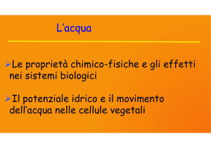 Lezione 3 Acqua e Potenziale Idrico