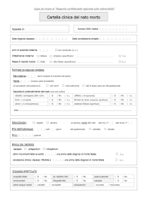modello cartella clinica nato morto (1)