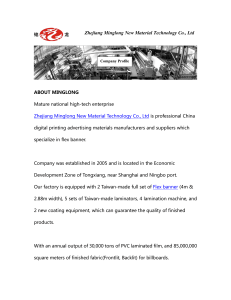 Zhejiang Minglong New Material Technology Co
