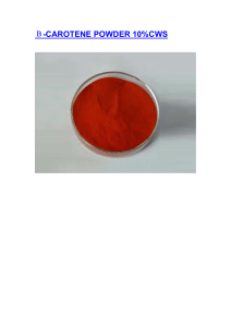 β-Carotene Powder 10%CWS