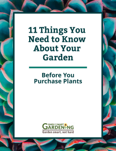 11 Things to Know About My Garden's Microclimate