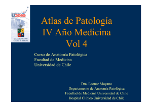 Atlas Patolog a IV Vol 4