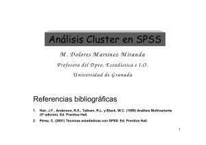 cluster SPSS