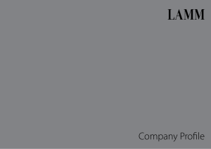 LAMM - Company profile 2019 IT