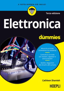 173-269Cathleen Shamieh - Elettronica For Dummies(2021) backup