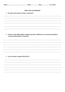 Sole e pelle: worksheet per studenti
